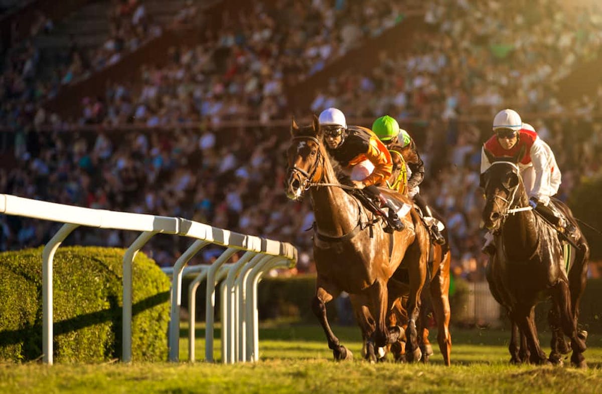 Japan NAR Tips: Wednesday 17th August 